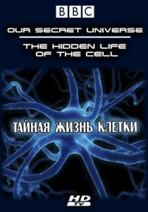 Внутренняя вселенная: Тайная жизнь клетки 2012