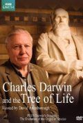 Чарльз Дарвин и Древо жизни 2009