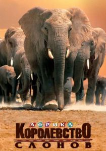 Африка – королевство слонов 1998