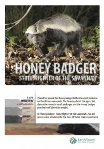 Ultimate Honey Badger 2013