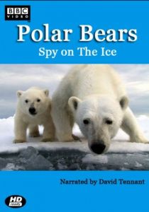 Белый медведь: Шпион во льдах